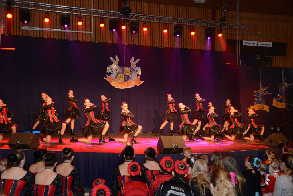 ../Images/Dansmarieke festival 2015 166.jpg